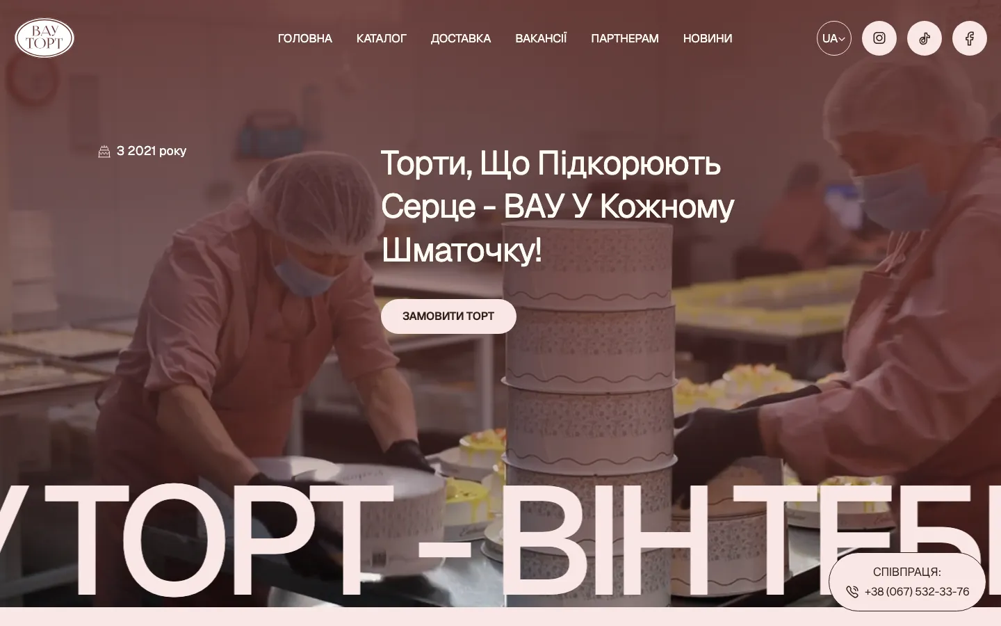 WOW Tort website preview